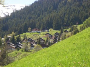 2010.05 Feriendorf Sommer               
