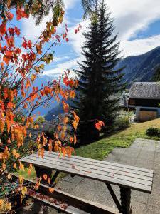 Blick von der Terrasse