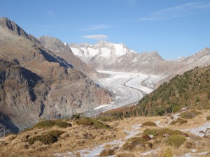 DSC00257               