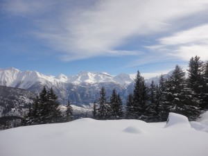 DSC04689              