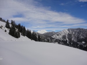 DSC04690             