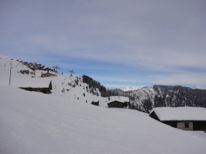 DSC04700             