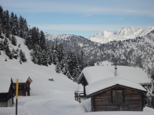 DSC04702             