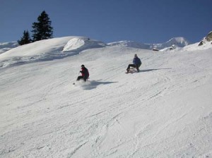 Winter_Rodeln auf Belalp               